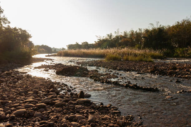 A serene river flows through a rocky landscape, illuminated by warm sunlight, surrounded by lush greenery and gentle ripples.