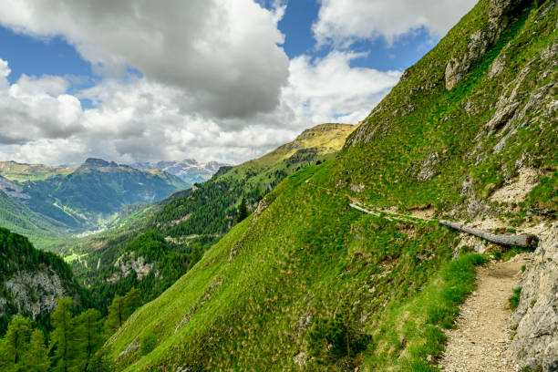 istock Viel dal Pan hiking path in the Dolomites during springtime 2196531107