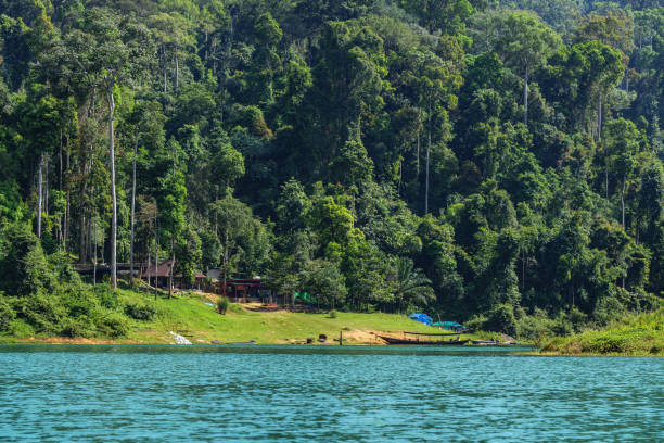 istock Khao Sok National Park, jungle and rock formations 2196531763