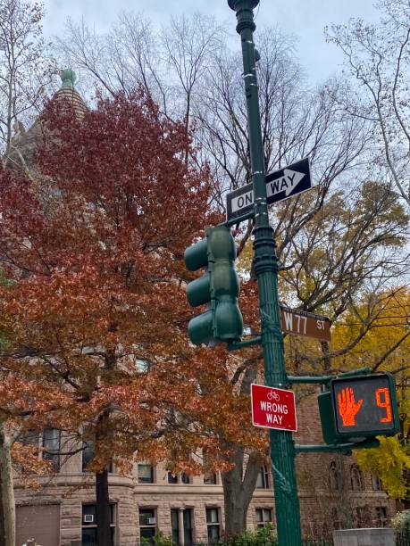 Autumn leaves at Central Park