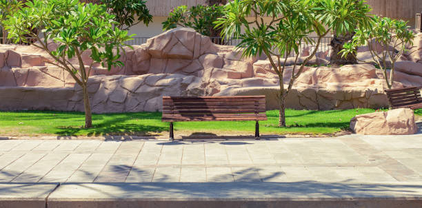 istock tropic south city scape square pavement walking district boulevard space for promenade summer landscaped environment of grass lawn bench and street tile bright June waterfront district near sea scape 2196535128