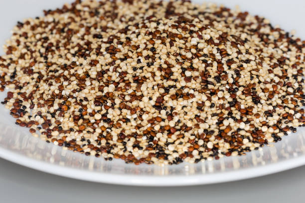 Heap of the mix of raw black, red and white quinoa seeds on a white dish, front view close-up in selective focus
