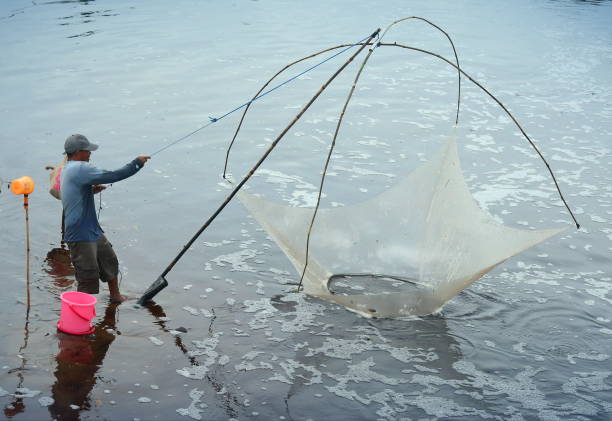 Palangka Raya City, Central Kalimantan Province, Indonesia - January 27, 2025 - Fishermen catch fish with traditional tools on the side of a river on Kalimantan Island. In local language, this traditional fishing gear is called \