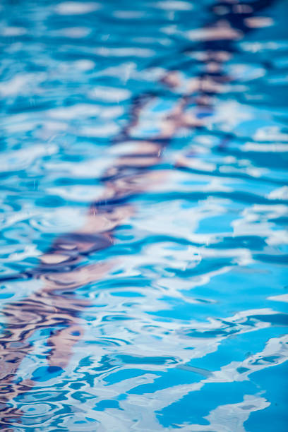 Illustration of an indoor swimming pool