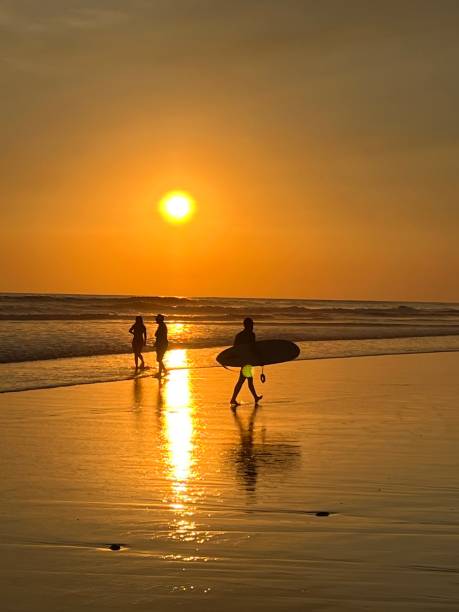 istock Surfer at Sunset on sparkling Costa Rican Beach 2196540491