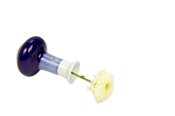 Vase on the floor, white background