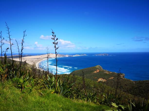 istock Scenic coastal view of Cape Reinga. 2196546737
