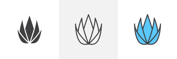 Aloe Vera Icon Set. Plant agave medical vector symbol in a black filled and outlined style. Soothing Remedy Sign. Aloe vera icon isolated on white background. Eps 10 aleo vera stock illustrations