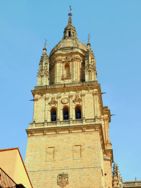 The Cathedral of the Assumption of the Virgin, popularly called the New Cathedral, is, along with the Old Cathedral, one of the two cathedrals in the city of Salamanca, Spain. It is the seat of the diocese of Salamanca. It was built between the 16th and 18th centuries, mixing late Gothic, Renaissance and Baroque styles.