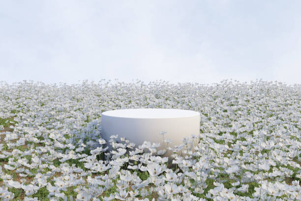 istock 3d render platform and Natural springtime background, White podium on the white cosmos flowers and grass field for product stand display, advertising, mockup or etc 2196560445