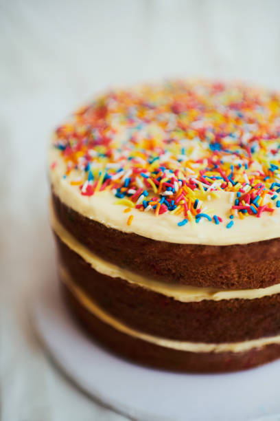 Close-up shot of a cake topped with a generous layer of sugar sprinkles. The colorful coating adds a festive touch, enhancing the treat's sweet appeal