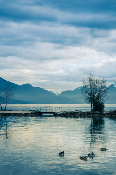 Une vue du Lac d'Annecy avec un ponton. Les hautes montages enneigées. C'est l'hiver.