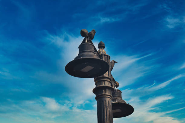 A distinctive street lamp features ornately designed bells and perched bird sculptures, set against a bright blue sky.