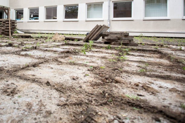 istock Break up and removing old paving stones from the ground in a backyard 2196564455