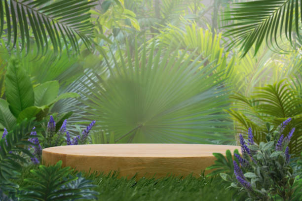 istock minimal wood podium table top on grass outdoors in tropical forest nature background.natural product pedestal wooden stand display,healthy life or eco concept. 2196566727