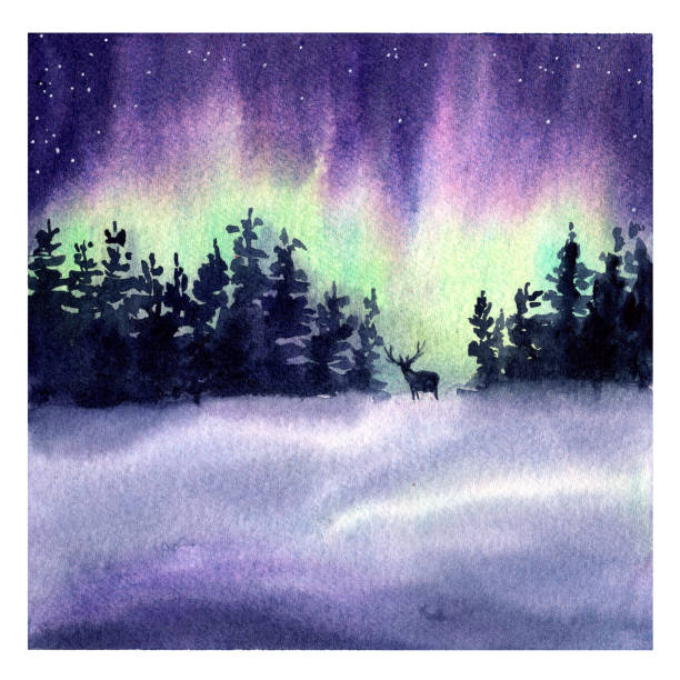 istock Winter landscape with deer, pine forest and northern lights isolated on white. High quality nature illustration perfect for cards, posters, books, home decor. Night illustration. Aurora borealis 2196567988