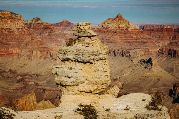 Duck on a rock at the Grand Canyon, photographed on a sunny winter day