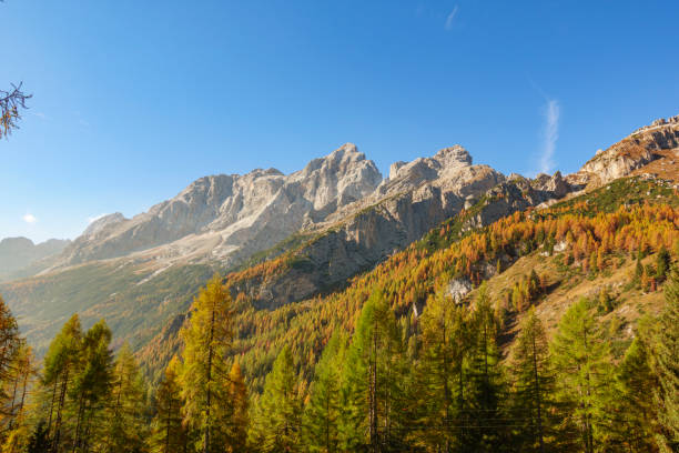 Beautiful scenery with warm autumn colours in the mountains of the Belluno Dolomites with Mount Pelmo in the background.Italy