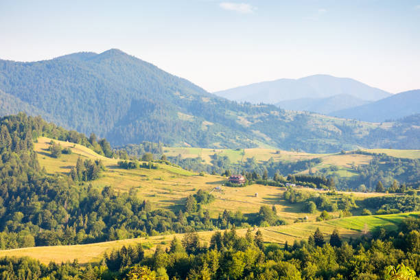 istock rural area of transcarpathia in summer 2196574870