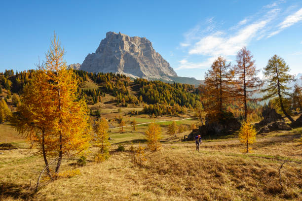 istock Autumn colours in the Dolomites 2196574989