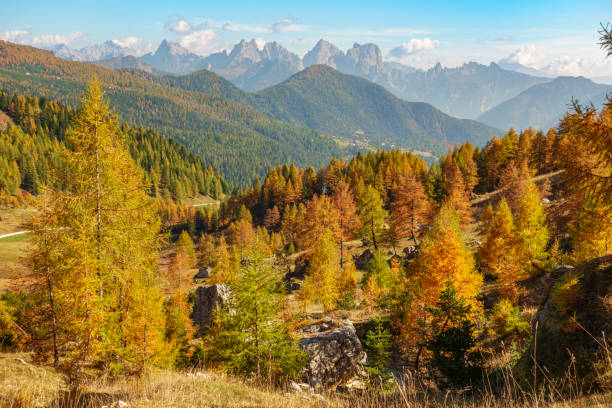 istock Autumn colours in the Dolomites 2196576899