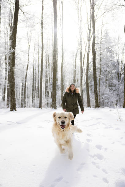 istock Woman and Dog Strolling in a Snow-Covered Winter Forest 2196583076