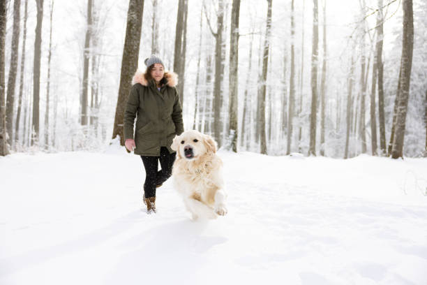 istock Woman and Dog Strolling in a Snow-Covered Winter Forest 2196583163