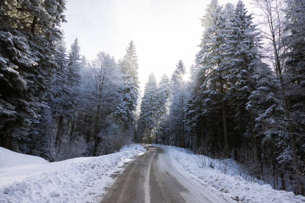istock Peaceful Snow-Covered Forest Road with Sunlight Through Trees in Winter 2196583524