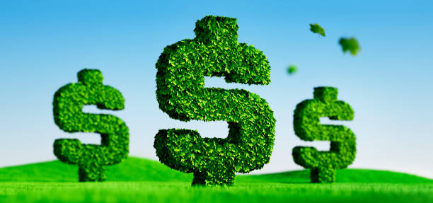 istock Dollar Symbol covered with green leaves 2196583806