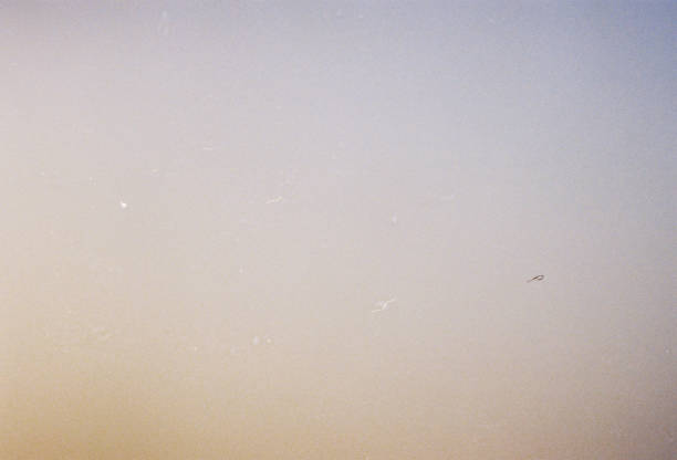 istock 200 ISO 35mm Real Film Grain Texture 2196586848