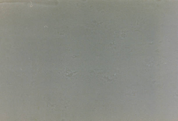 istock 200 ISO 35mm Real Film Grain Texture 2196586906