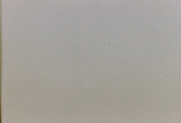 200 ISO 35mm Real Film Grain Texture