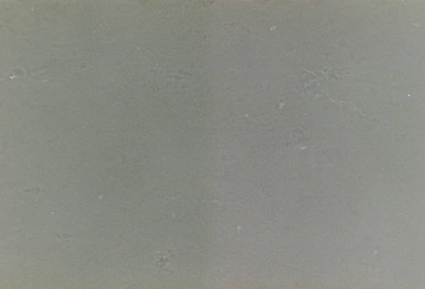 istock 200 ISO 35mm Real Film Grain Texture 2196586988