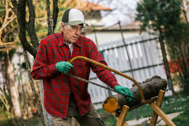 istock Man cutting wood with hand saw, dust and movements. Chainsaw. 2196589096