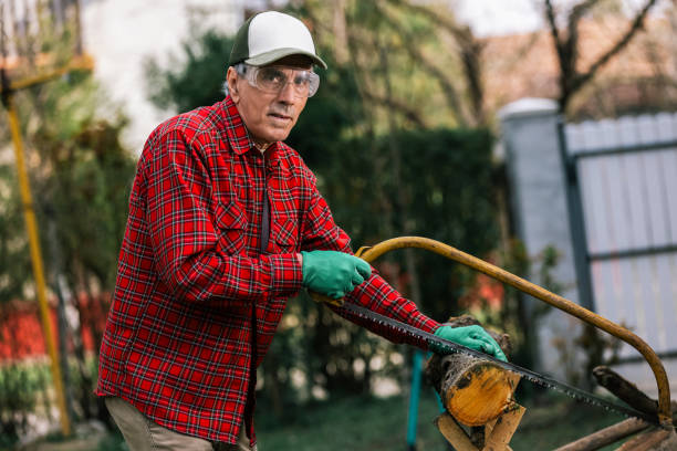 istock Man cutting wood with hand saw, dust and movements. Chainsaw. 2196589114