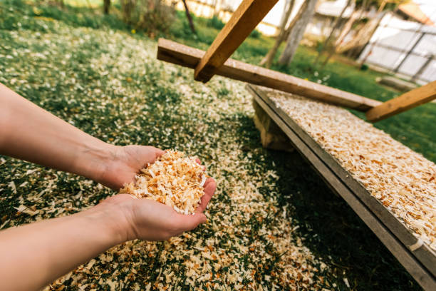 istock A handful of sawdust. 2196589145