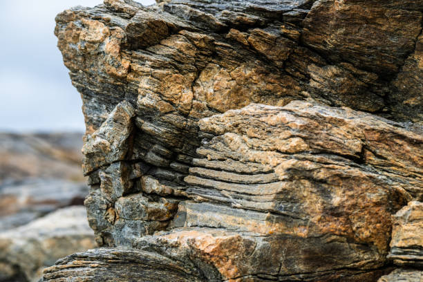 close-up of layered sedimentary rock with varying textures..