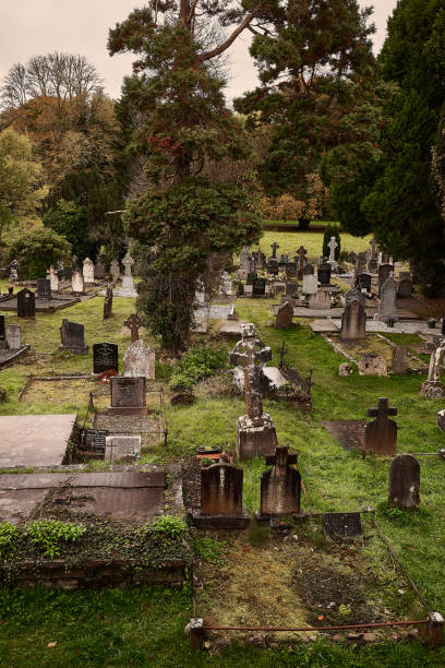 istock Ancient graveyard surrounding Muckross Abbey, Ireland 2196602609