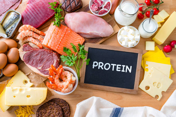 istock Animal sources of protein: meat, fish, chicken and dairy products 2196609107
