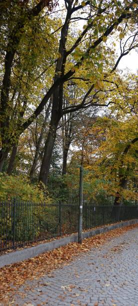 istock Autumn path in English Garden Park Munich 2196609975
