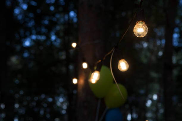 istock Edison light bulb shines at dusk in a garden against a blurred background 2196614607