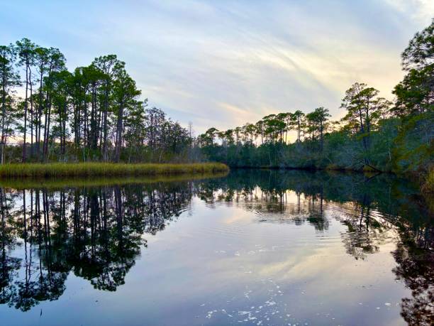 istock Still waters reflect tall pines with vibrant color sky at dawn 2196618895