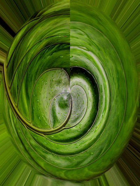 Abstract background of green leaf sphere with water drops