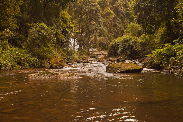 The Politzi River in the Debengeni Falls area of  Magoebaskloof is a contributary to the Great Letaba River South Africa