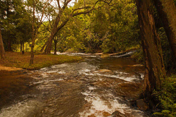 The Politzi River in the Debengeni Falls area of  Magoebaskloof is a contributary to the Great Letaba River South Africa