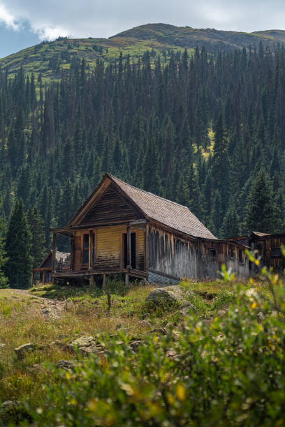 istock Rustic Cabin in a Lush Forested Mountain Landscape 2196625811