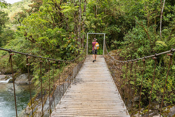 istock Man Walking on Jungle Suspension Bridge with Backpack 2196629605