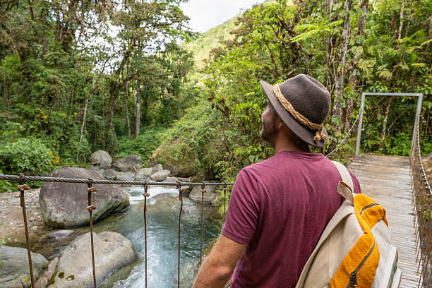 istock Traveler on Scenic Jungle Bridge Admiring River View 2196629696