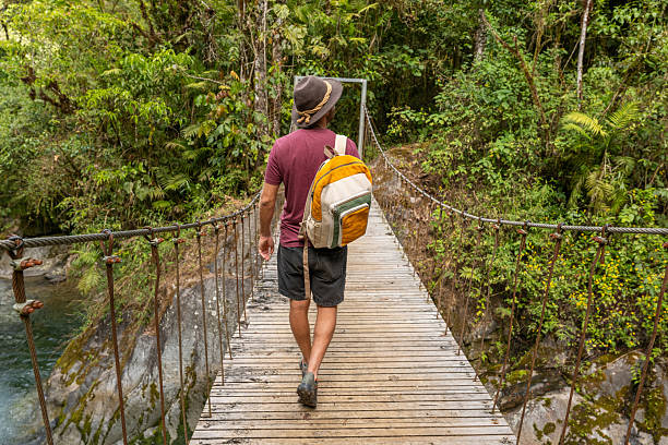 istock Traveler on Scenic Jungle Bridge Admiring River View 2196629749