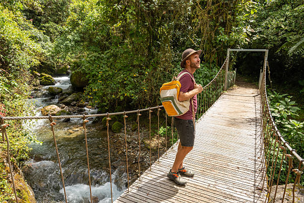 istock Man enjoying nature walk on a forest bridge 2196629789